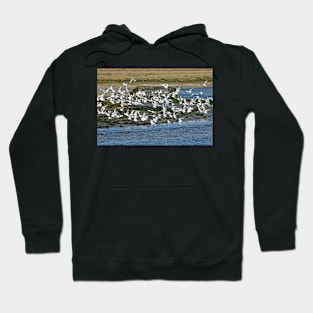 Le Conquet - L'envol Hoodie